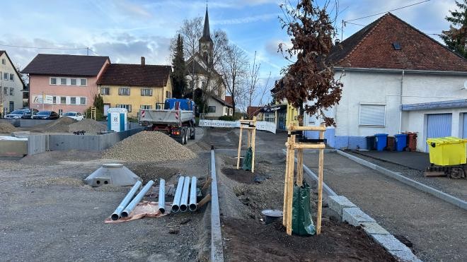 Lang gezogene betonierte Baumbeete auf dem Dorfplatz mit gestützten neuen Bäumen.