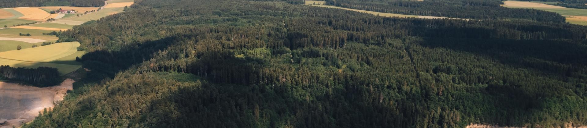 Drohnenaufnahme über Dauchingen mit Blick auf Wald und Wiese.