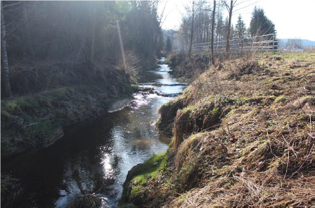 Neckar Bachbeet umgeben von Bäumen.